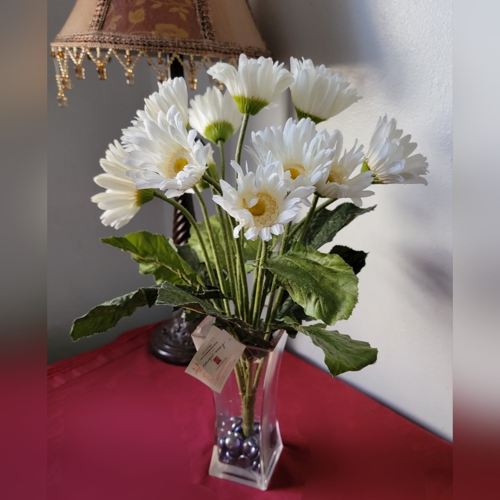 Gerber Daisy Bush each, but I have 3 left